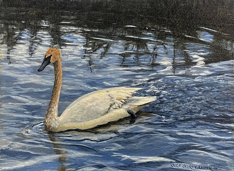 Seerey-Lester Tundra Swan