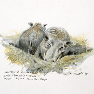 Warthogs
