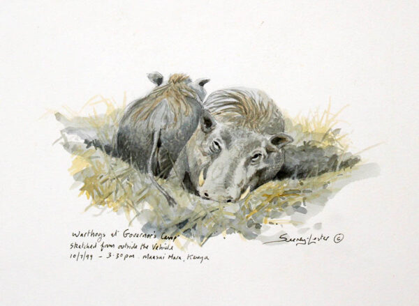 Warthogs