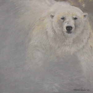 Large Polar Bear Study