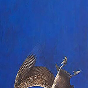 Sky Dive
