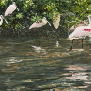 Mangrove Roost