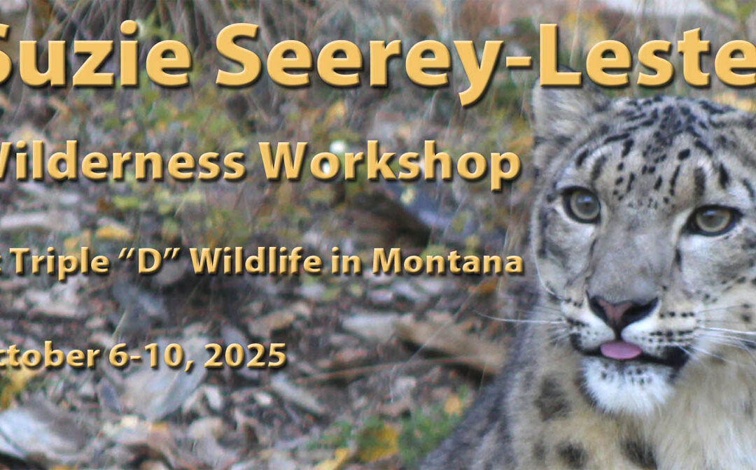 Workshop 2025